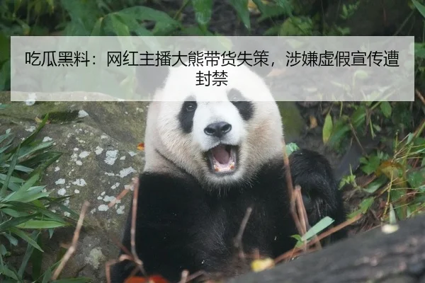 吃瓜黑料：网红主播大熊带货失策，涉嫌虚假宣传遭封禁